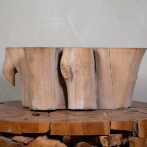 Mesa de Centro Tronco P