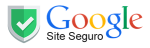google-site-seguro.png